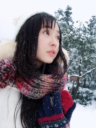 少年歌行电视剧在线观看全集免费播放