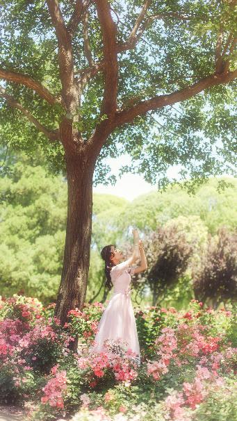 芒果TV免费观看网站